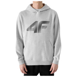 4F Ανδρικό φούτερ